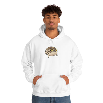 Desert Rain Frog Unisex Heavy Blend Hoodie