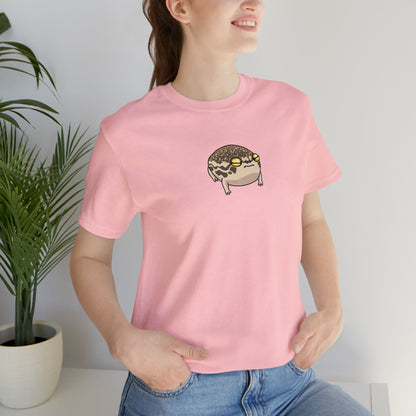 Desert Rain Frog Unisex Jersey Short Sleeve Tee