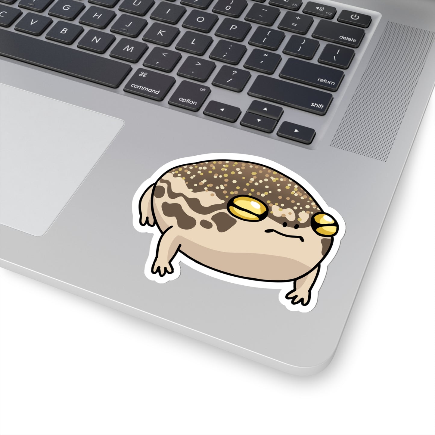 Desert Rain Frog Stickers